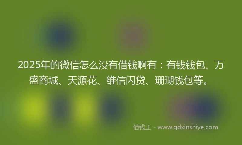 2025年的微信怎么没有借钱啊有：有钱钱包、万盛商城、天源花、维信闪贷、珊瑚钱包等。