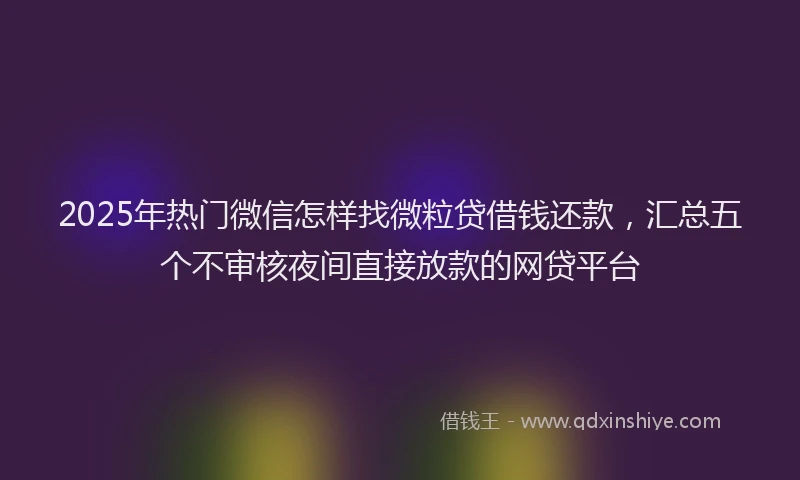 2025年热门微信怎样找微粒贷借钱还款，汇总五个不审核夜间直接放款的网贷平台
