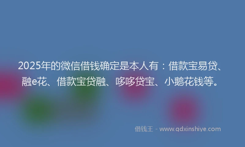 2025年的微信借钱确定是本人有：借款宝易贷、融e花、借款宝贷融、哆哆贷宝、小鹅花钱等。