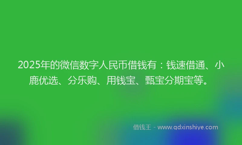 2025年的微信数字人民币借钱有：钱速借通、小鹿优选、分乐购、用钱宝、甄宝分期宝等。