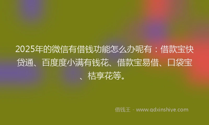 2025年的微信有借钱功能怎么办呢有：借款宝快贷通、百度度小满有钱花、借款宝易借、口袋宝、桔享花等。