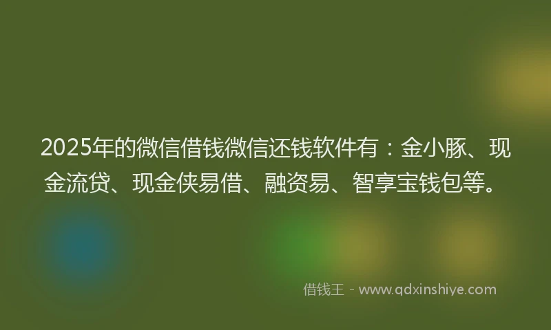 2025年的微信借钱微信还钱软件有：金小豚、现金流贷、现金侠易借、融资易、智享宝钱包等。