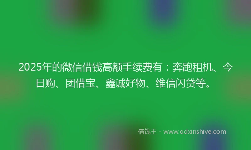 2025年的微信借钱高额手续费有：奔跑租机、今日购、团借宝、鑫诚好物、维信闪贷等。