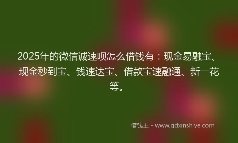 2025年的微信诚速呗怎么借钱有：现金易融宝、现金秒到宝、钱速达宝、借款宝速融通、新一花等。