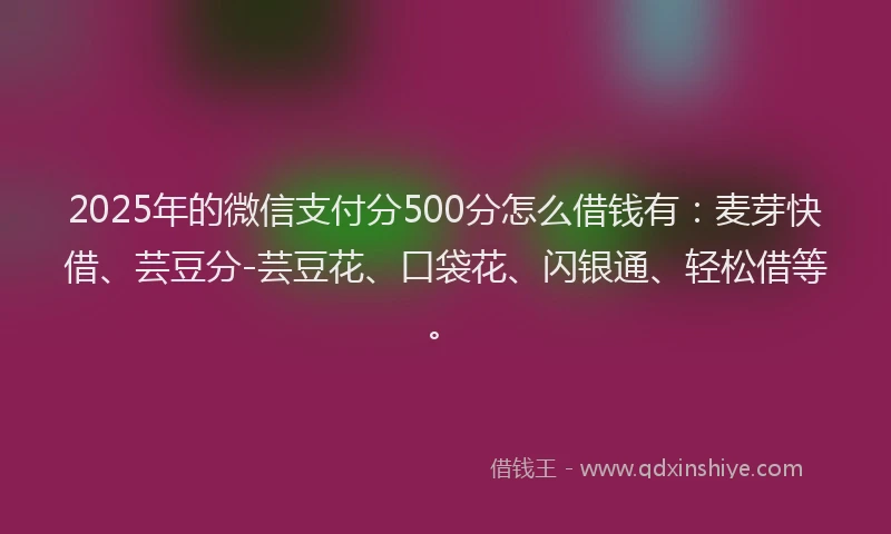 2025年的微信支付分500分怎么借钱有：麦芽快借、芸豆分-芸豆花、口袋花、闪银通、轻松借等。