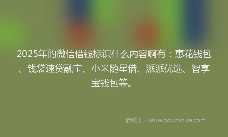 2025年的微信借钱标识什么内容啊有：惠花钱包、钱袋速贷融宝、小米随星借、派派优选、智享宝钱包等。