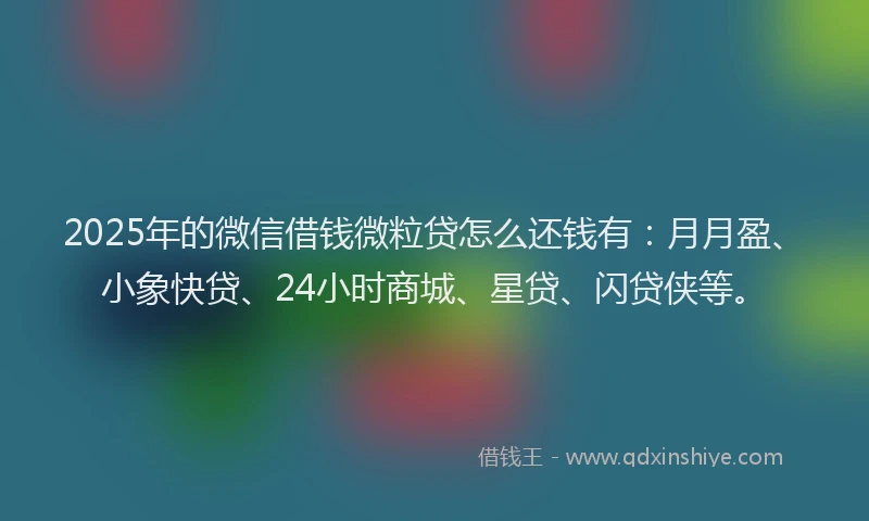 2025年的微信借钱微粒贷怎么还钱有：月月盈、小象快贷、24小时商城、星贷、闪贷侠等。
