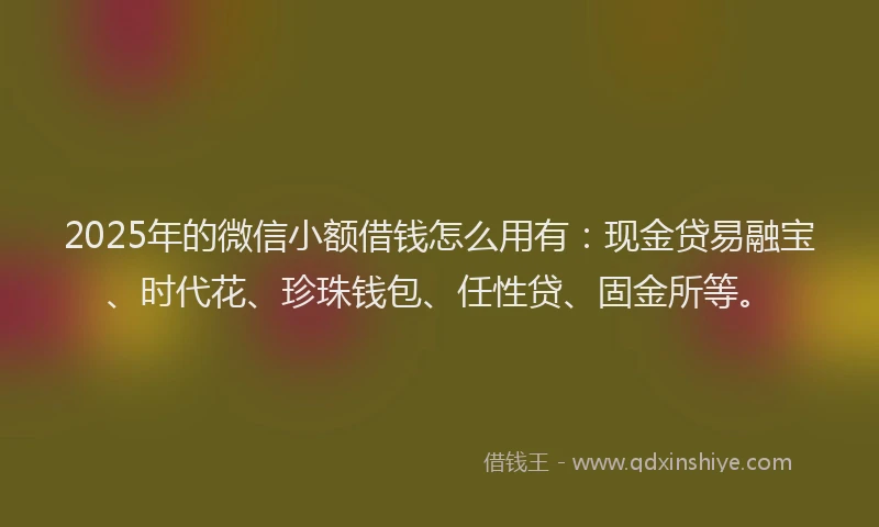 2025年的微信小额借钱怎么用有：现金贷易融宝、时代花、珍珠钱包、任性贷、固金所等。