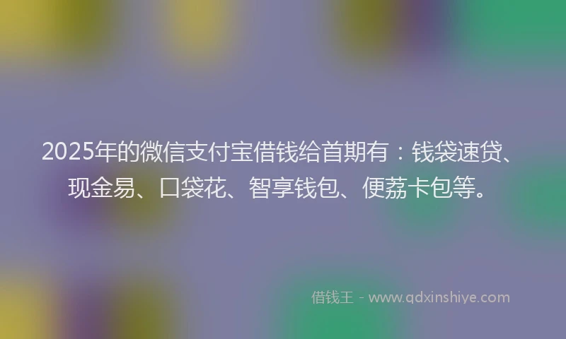 2025年的微信支付宝借钱给首期有：钱袋速贷、现金易、口袋花、智享钱包、便荔卡包等。