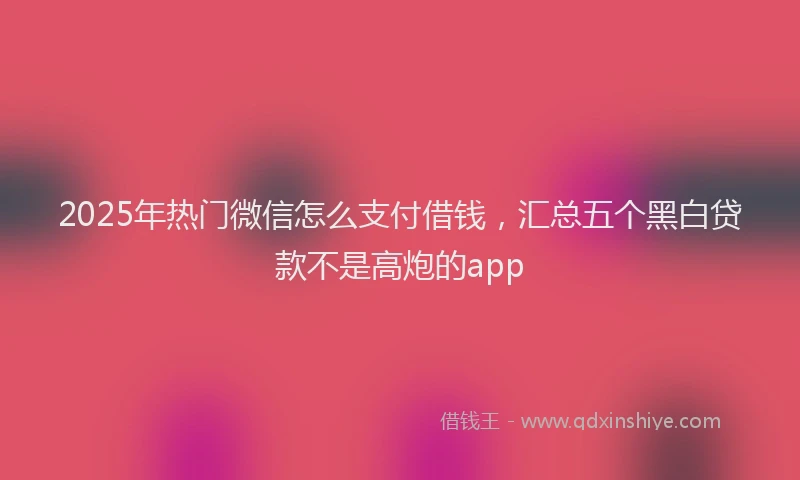 2025年热门微信怎么支付借钱，汇总五个黑白贷款不是高炮的app