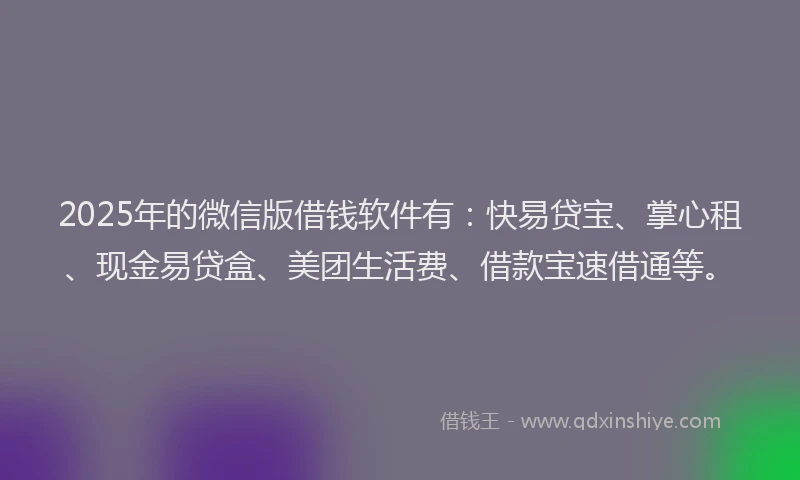 2025年的微信版借钱软件有：快易贷宝、掌心租、现金易贷盒、美团生活费、借款宝速借通等。