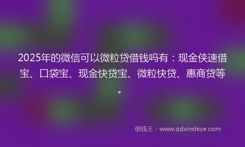2025年的微信可以微粒贷借钱吗有：现金侠速借宝、口袋宝、现金快贷宝、微粒快贷、惠商贷等。