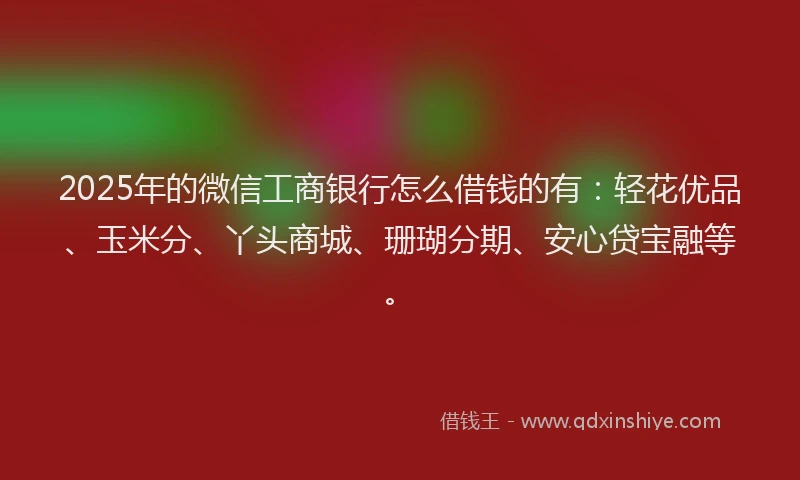 2025年的微信工商银行怎么借钱的有：轻花优品、玉米分、丫头商城、珊瑚分期、安心贷宝融等。