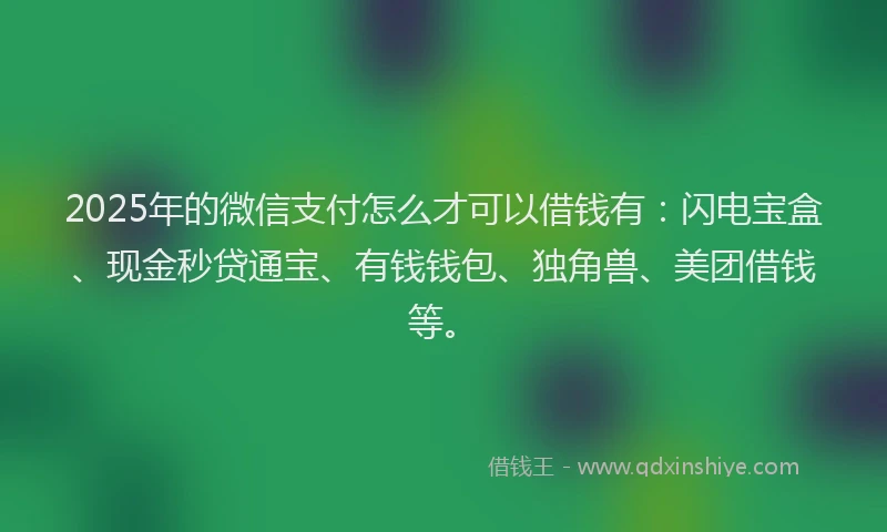 2025年的微信支付怎么才可以借钱有：闪电宝盒、现金秒贷通宝、有钱钱包、独角兽、美团借钱等。