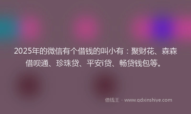 2025年的微信有个借钱的叫小有：聚财花、森森借呗通、珍珠贷、平安i贷、畅贷钱包等。