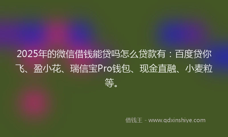 2025年的微信借钱能贷吗怎么贷款有：百度贷你飞、盈小花、瑞信宝Pro钱包、现金直融、小麦粒等。
