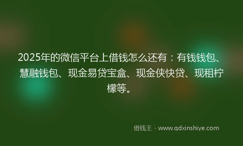 2025年的微信平台上借钱怎么还有：有钱钱包、慧融钱包、现金易贷宝盒、现金侠快贷、现租柠檬等。