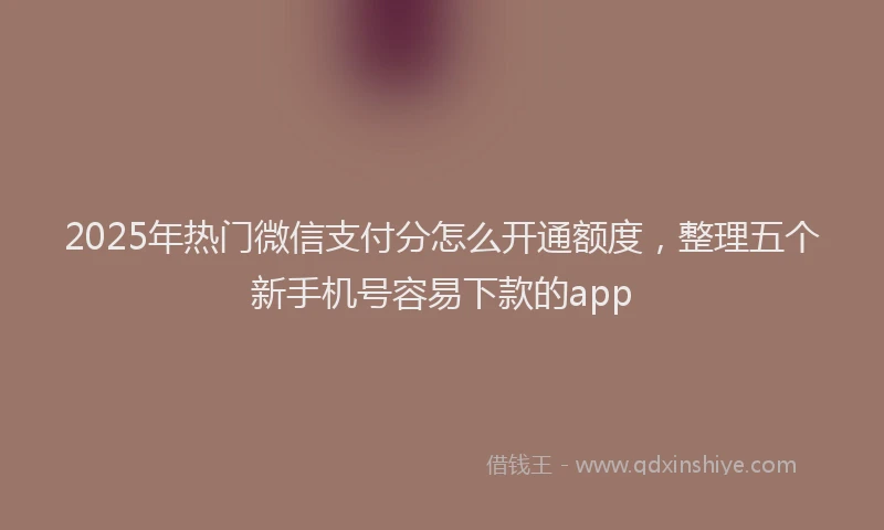 2025年热门微信支付分怎么开通额度，整理五个新手机号容易下款的app