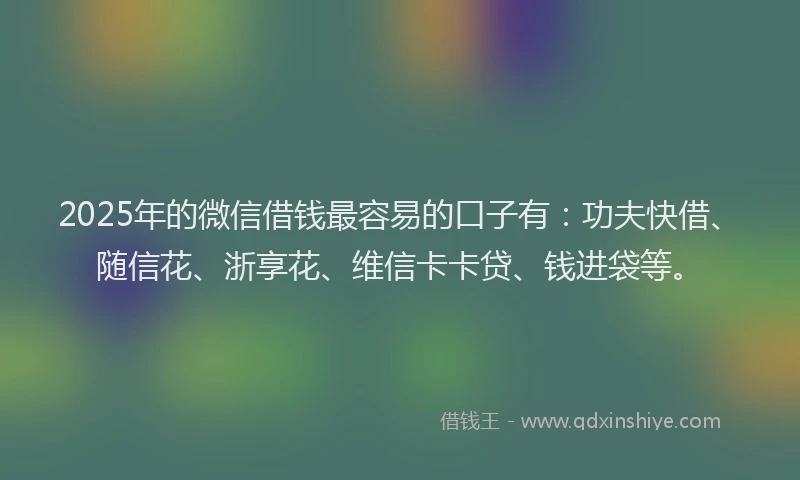 2025年的微信借钱最容易的口子有：功夫快借、随信花、浙享花、维信卡卡贷、钱进袋等。
