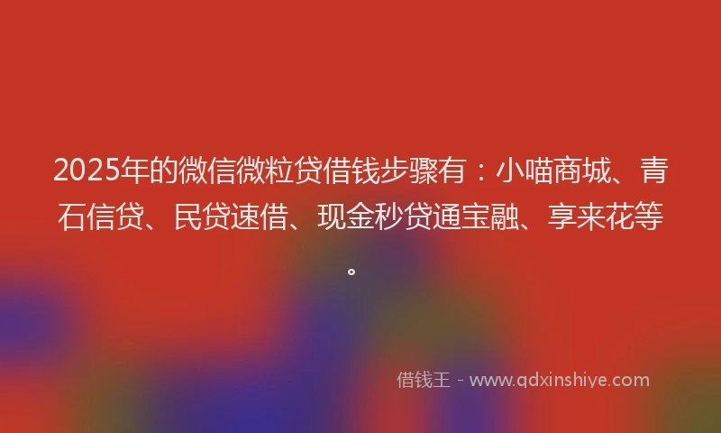 2025年的微信微粒贷借钱步骤有：小喵商城、青石信贷、民贷速借、现金秒贷通宝融、享来花等。