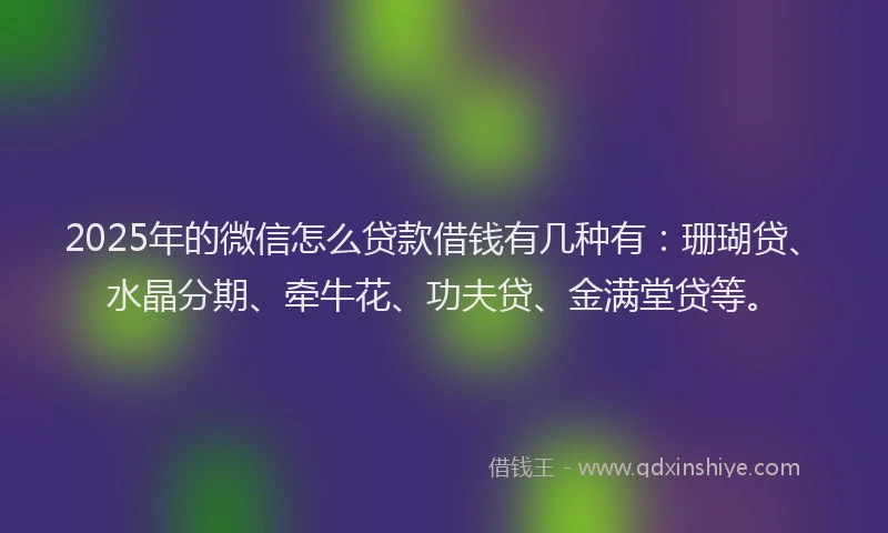 2025年的微信怎么贷款借钱有几种有：珊瑚贷、水晶分期、牵牛花、功夫贷、金满堂贷等。