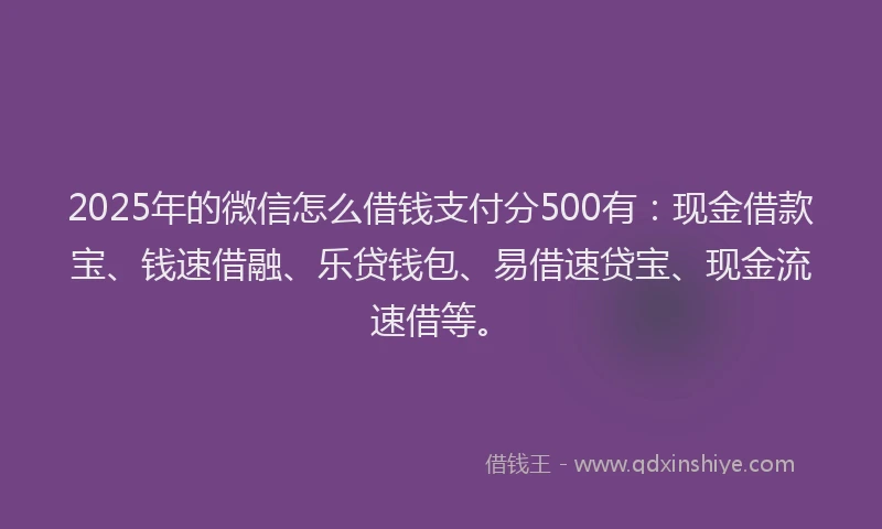 2025年的微信怎么借钱支付分500有：现金借款宝、钱速借融、乐贷钱包、易借速贷宝、现金流速借等。