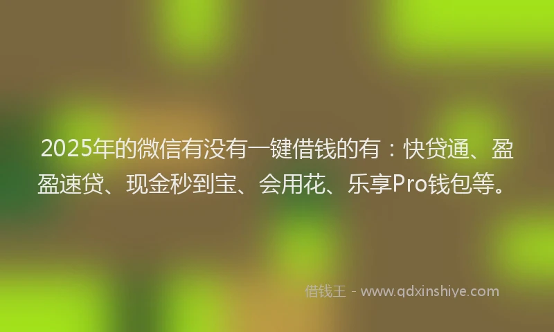 2025年的微信有没有一键借钱的有：快贷通、盈盈速贷、现金秒到宝、会用花、乐享Pro钱包等。