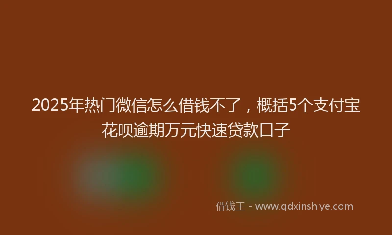 2025年热门微信怎么借钱不了，概括5个支付宝花呗逾期万元快速贷款口子