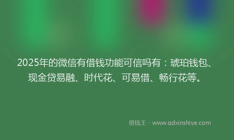 2025年的微信有借钱功能可信吗有：琥珀钱包、现金贷易融、时代花、可易借、畅行花等。