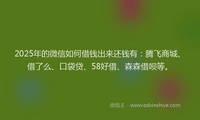 2025年的微信如何借钱出来还钱有：腾飞商城、借了么、口袋贷、58好借、森森借呗等。