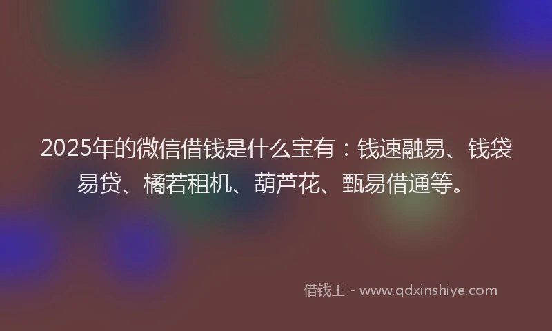 2025年的微信借钱是什么宝有：钱速融易、钱袋易贷、橘若租机、葫芦花、甄易借通等。