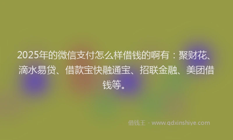 2025年的微信支付怎么样借钱的啊有：聚财花、滴水易贷、借款宝快融通宝、招联金融、美团借钱等。