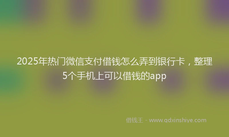 2025年热门微信支付借钱怎么弄到银行卡，整理5个手机上可以借钱的app