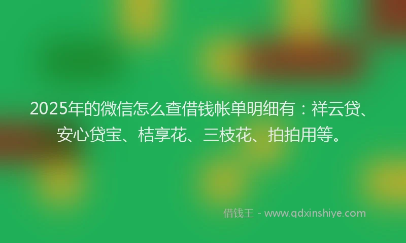 2025年的微信怎么查借钱帐单明细有：祥云贷、安心贷宝、桔享花、三枝花、拍拍用等。