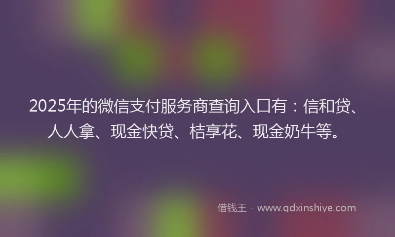 2025年的微信支付服务商查询入口有：信和贷、人人拿、现金快贷、桔享花、现金奶牛等。