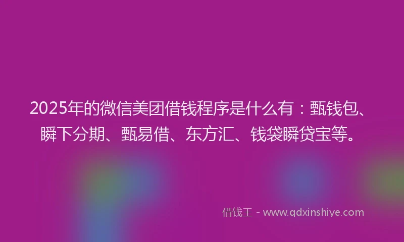 2025年的微信美团借钱程序是什么有：甄钱包、瞬下分期、甄易借、东方汇、钱袋瞬贷宝等。