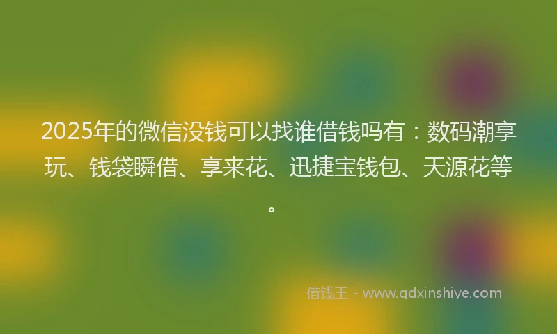 2025年的微信没钱可以找谁借钱吗有：数码潮享玩、钱袋瞬借、享来花、迅捷宝钱包、天源花等。