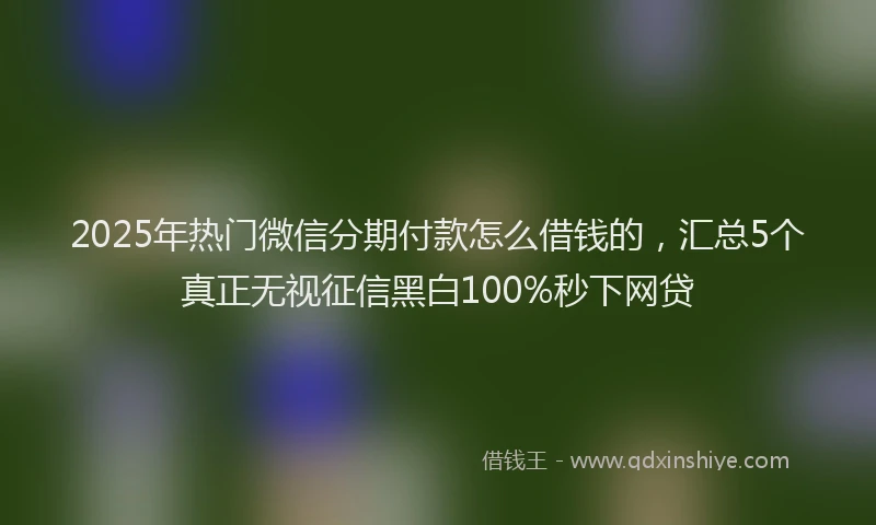 2025年热门微信分期付款怎么借钱的，汇总5个真正无视征信黑白100%秒下网贷