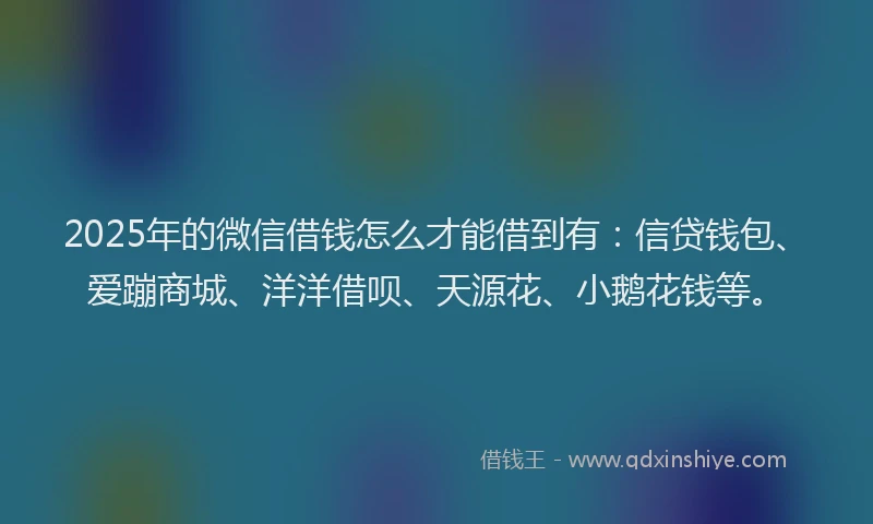 2025年的微信借钱怎么才能借到有：信贷钱包、爱蹦商城、洋洋借呗、天源花、小鹅花钱等。