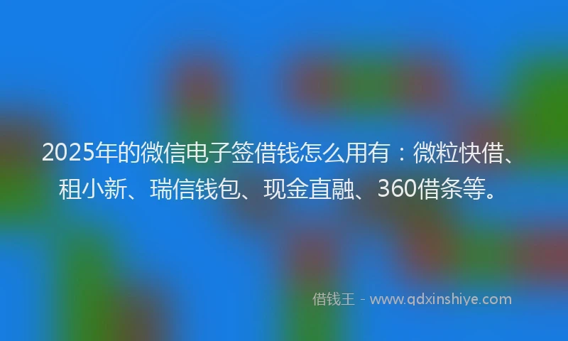 2025年的微信电子签借钱怎么用有：微粒快借、租小新、瑞信钱包、现金直融、360借条等。