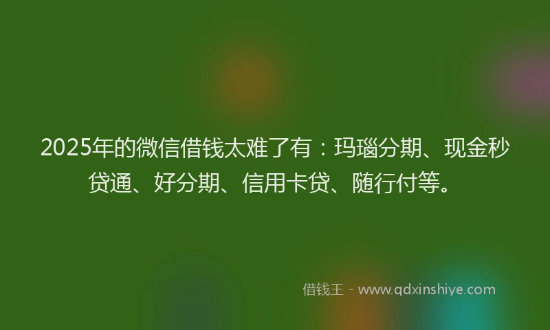 2025年的微信借钱太难了有：玛瑙分期、现金秒贷通、好分期、信用卡贷、随行付等。