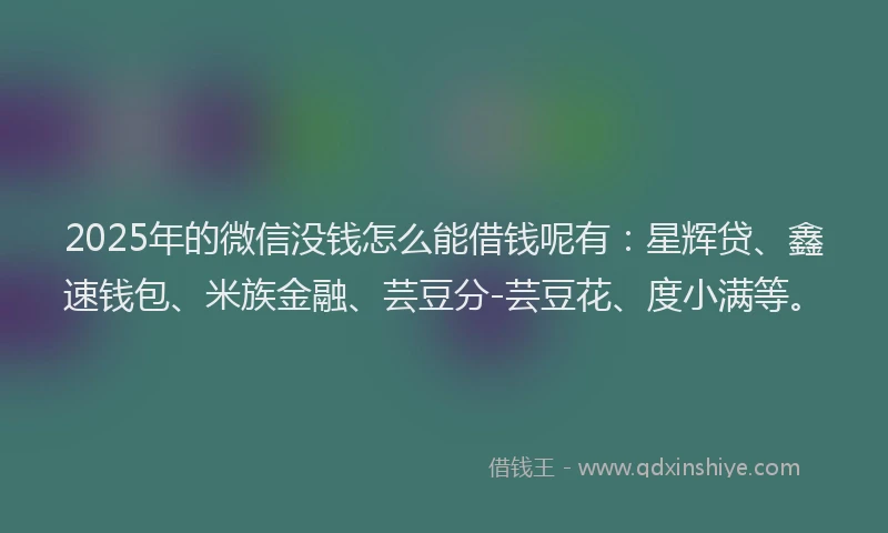2025年的微信没钱怎么能借钱呢有：星辉贷、鑫速钱包、米族金融、芸豆分-芸豆花、度小满等。
