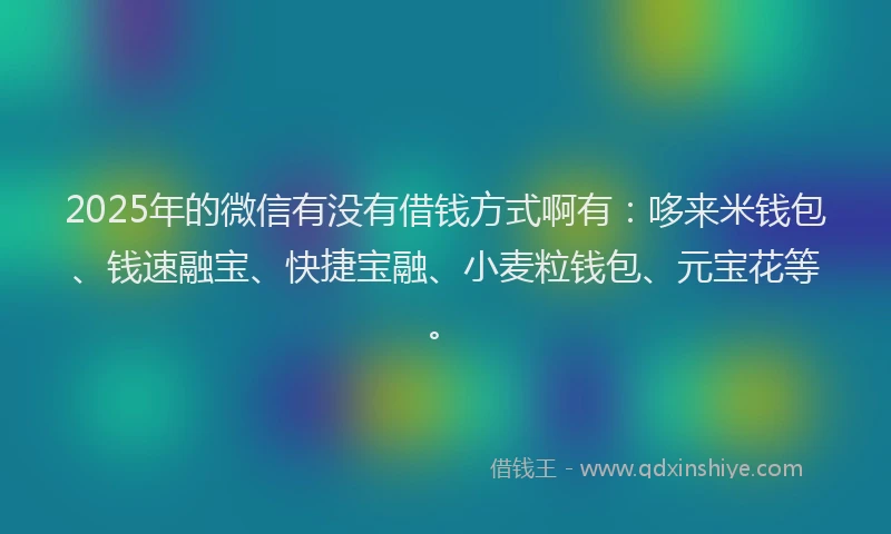 2025年的微信有没有借钱方式啊有：哆来米钱包、钱速融宝、快捷宝融、小麦粒钱包、元宝花等。
