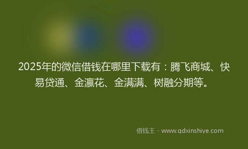 2025年的微信借钱在哪里下载有：腾飞商城、快易贷通、金瀛花、金满满、树融分期等。
