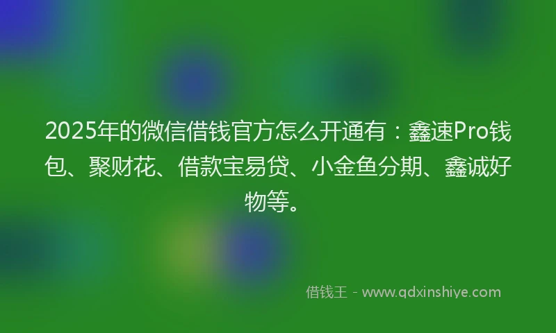 2025年的微信借钱官方怎么开通有：鑫速Pro钱包、聚财花、借款宝易贷、小金鱼分期、鑫诚好物等。