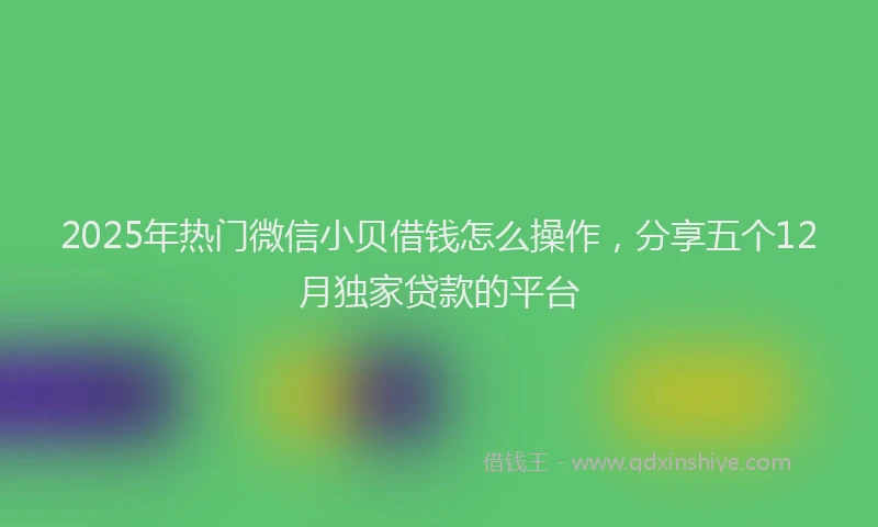 2025年热门微信小贝借钱怎么操作，分享五个12月独家贷款的平台