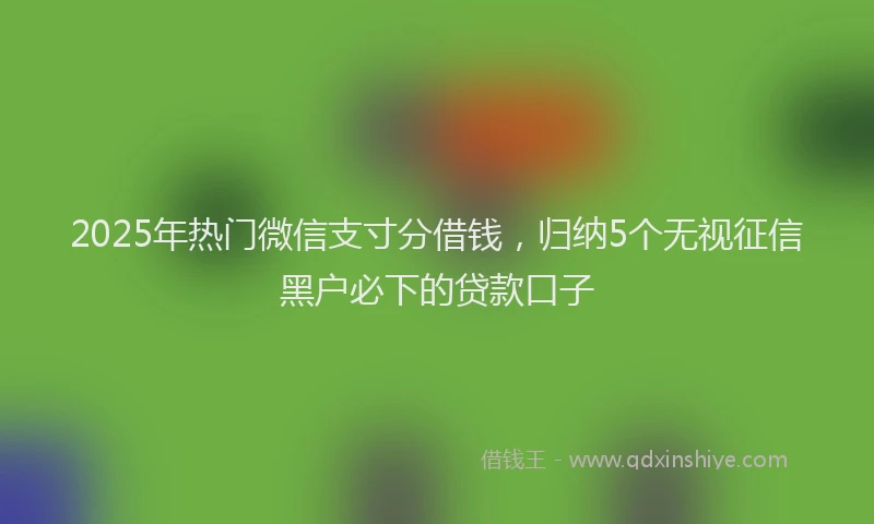 2025年热门微信支寸分借钱，归纳5个无视征信黑户必下的贷款口子
