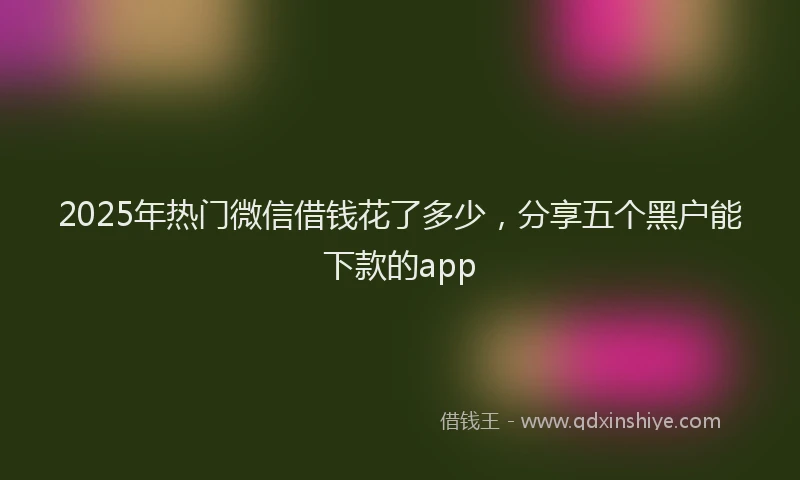 2025年热门微信借钱花了多少，分享五个黑户能下款的app