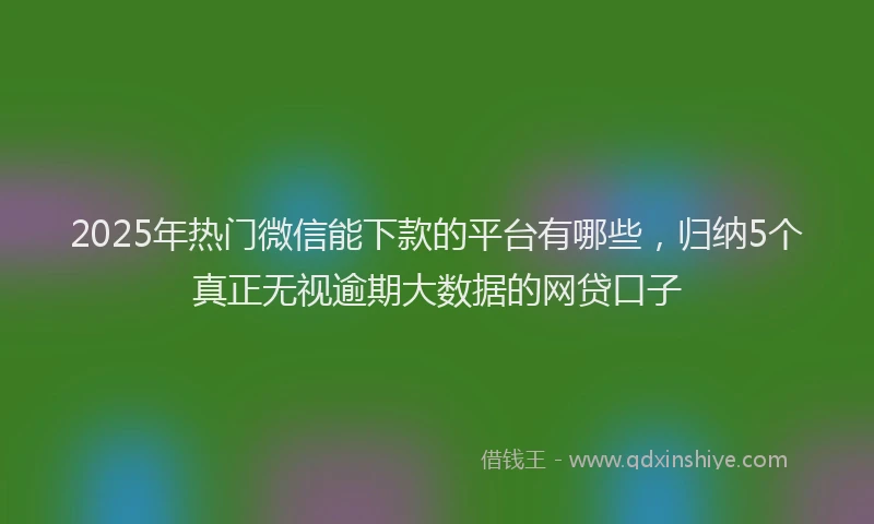 2025年热门微信能下款的平台有哪些，归纳5个真正无视逾期大数据的网贷口子