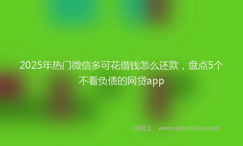 2025年热门微信多可花借钱怎么还款，盘点5个不看负债的网贷app